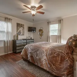 Golden Greek Getaway Chic House In Heart Of Holiday home Tampa